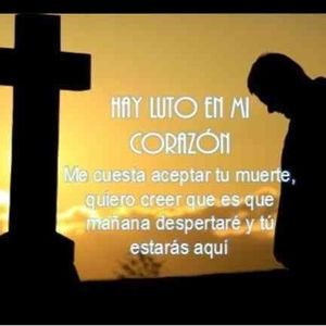 Meet your Posher, Jose